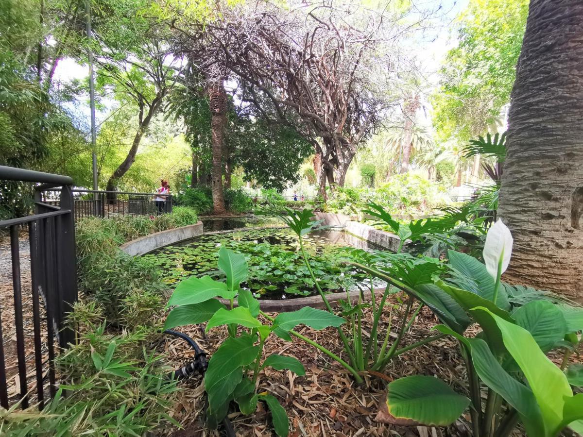 Home2Book Charming Center Apartment Santa Cruz المظهر الخارجي الصورة